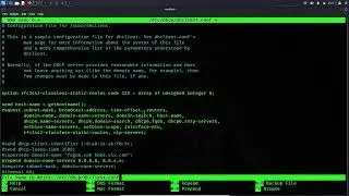 Linux DNS Değiştirme