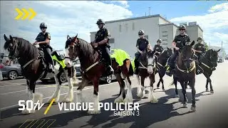Faites venir la cavalerie!  | SQtv Vlogue policier S.3 Ép. 14