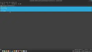 610 the bash shell is 4 different types of programming languages
