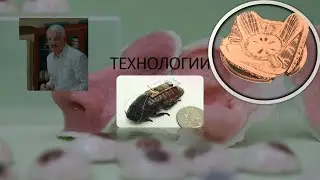 Топ 5 технологий будущего, которые изменят мир в ближайшие 30 лет. Часть 4