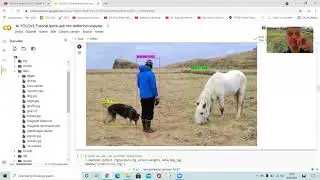 YoloV3 Birden Fazla Özel Nesne Tanıma -Bölüm 2- COLAB Ücretsiz GPU ile Veri Setinin Eğitimi ve Testi