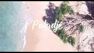PALADJE - 