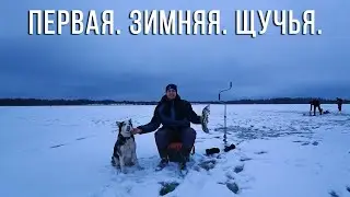 Жерлица на ЩУКУ. Первая зимняя рыбалка. Отличное открытие сезона.