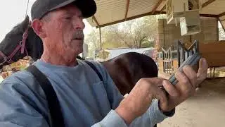 Putting shoes on a horse is that easy. Don Beto Muñoz is a specialist in the business.