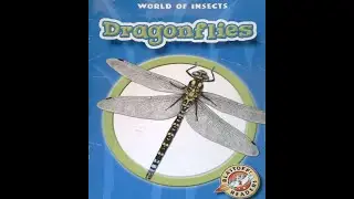 Dragonflies Read Aloud