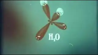 Общие свойства растворов