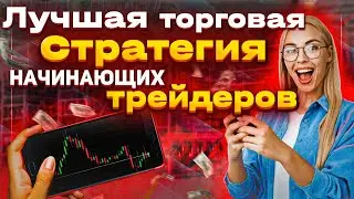 The best trading strategy for beginner traders