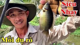 Mồi độc lạ trị cá bị bể mồi của anh này quá hay bỏ xuống là giật | THÚ VUI MIỀN TÂY. Tập 472
