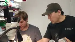 Tesla Bot   Actuators Team
