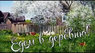 Выехали в деревню.