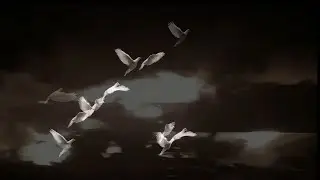 Κοινοί Θνητοί - Θ' αργήσω απόψε