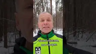 Видео WhatsApp 2022 11 27 в 16 41 03