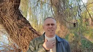 Превью   открытие восьмой чакры