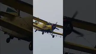 ANTONOV AN-2 Low Pass over Szeged 🤩✈️ 