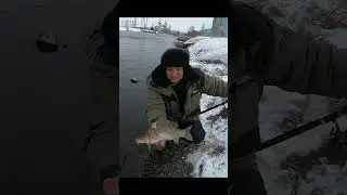 карась пошел# shorts