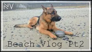 German Shepherd Puppy Beach Vlog Pt2 | NerdVlog