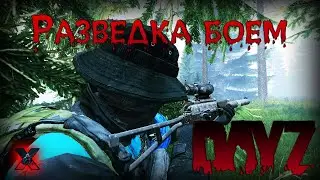 Разведка боем - DayZ