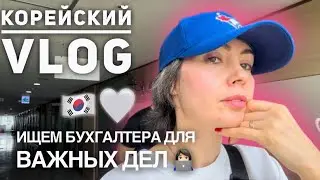 в поисках корейского бухгалтера 👩🏻‍💻
