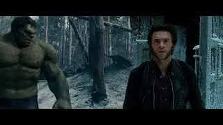 HULK vs WOLVERINE (Hugh Jackman & Mark Ruffalo)