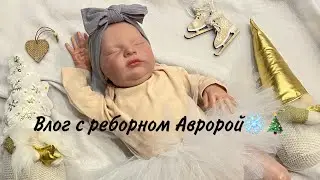 Влог с реборном Авророй в деревне❄️