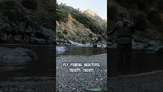 Fly Fishing for Trout in Beautiful Trinity County #shorts #fishing #fish