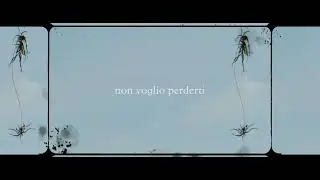 Non voglio  perderti