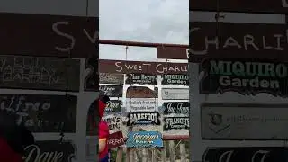 Strawberry Farm