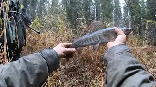 В попытке найти и поймать хариуса.Река вторая.
