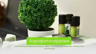 Аэрофитотерапия / Поликлиника "Лекон"