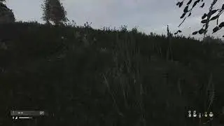 Nice deer/stag kill in DayZ chack pinned comment! #DayZ