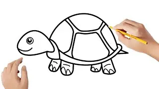 Como desenhar uma tartaruga