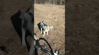 ПОНЕДЕЛЬНИК. Когда не надо на работу