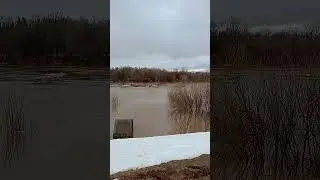 #ледоход #чепца