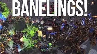 Scarlett vs GSL Champion! | Scarlett(Z) vs Cure (T)
