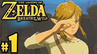 The Legend of Zelda Breath of the Wild PART 1 - Nintendo Switch Gameplay Walkthrough - Story Opening