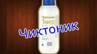Чиктоник (ВИТАМИНЫ)