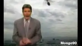 ANTS ATTACK NEWS REPORTER funny