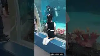 Cebu Ocean Park experience 👌💯