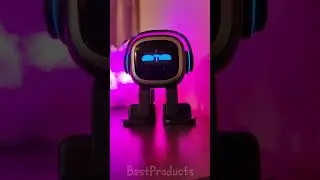 Setting a Timer with an EMO Robot