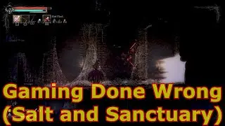 Gaming Done Wrong -  Salt and Sanctuary