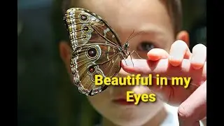 BEAUTIFUL IN MY EYES ~ JOSHUA KADISON | NO COPYRIGHT