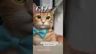 #cat #catlover #kitten #ourcat #kittycat #cute #kitty #pets #petlovers #pixar #disney