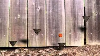 C4D Basketball Jumping
