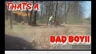 BAD BOY & Gator Blades | Perfect Combination