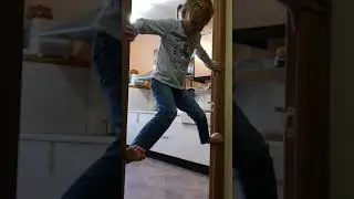 Обезьяны в городе