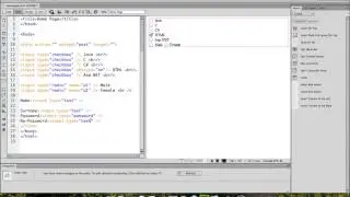 (Dreamweaver CS6) Textbox tag