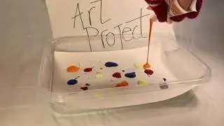 Art Project 05
