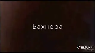 Асхаб Касумов Корах ара хьоьжура хьо