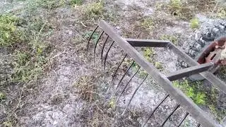 Урожай чеснока 2023