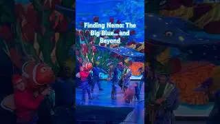 🐟 Finding Nemo: The Big Blue... and Beyond! At Disney’s Animal Kingdom #Nemo #shorts #disney
